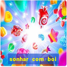 sonhar com boi jogo do bicho